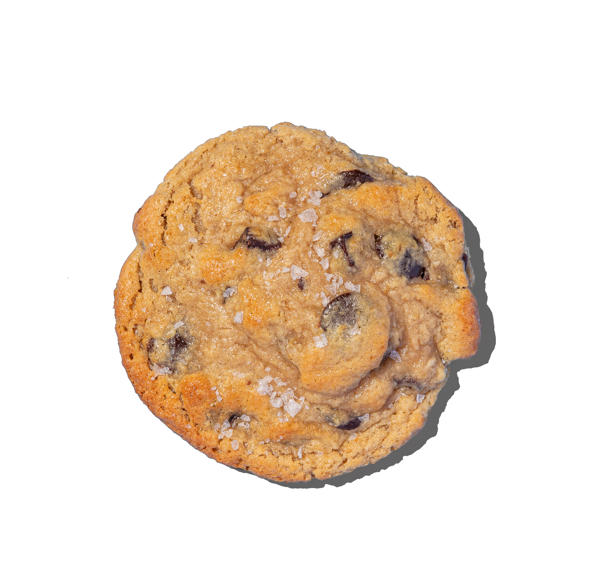 Chocolate chip cookie on a white background